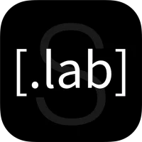Puntolab – Cursos Sincrónicos